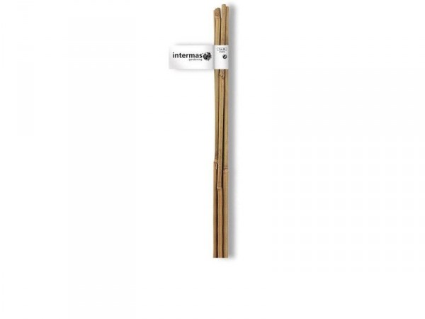 TUTEUR BAMBOU NATUREL HAUTEUR 1M80 DIAMETRE 12-14MM