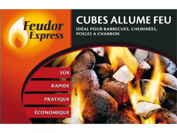 ALLUME FEU CUBE RESINE FLAM & CO BOITE DE 32