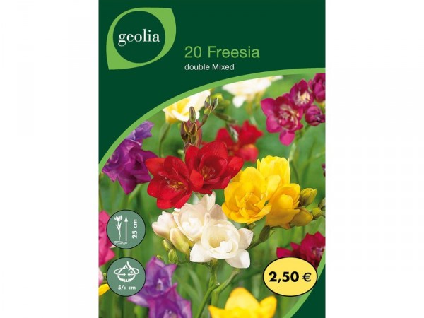 BULBE FREESIAS DOUBLE MELANGE 5+ SACHET 20