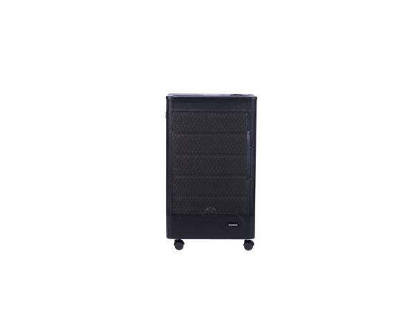 CHAUFFAGE GAZ CATALYSE RIGA 300W