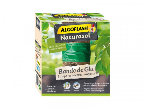 ANTI INSECTE BANDE GLUE L5M