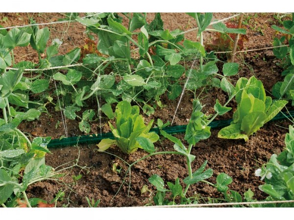 TUYAU ARROSEUR DIAMETRE 4MM TRIFOG 7M5 + RACCORD