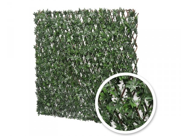 TREILLIS OSIER FEUILLE VIGNE VIERGE 1X2M
