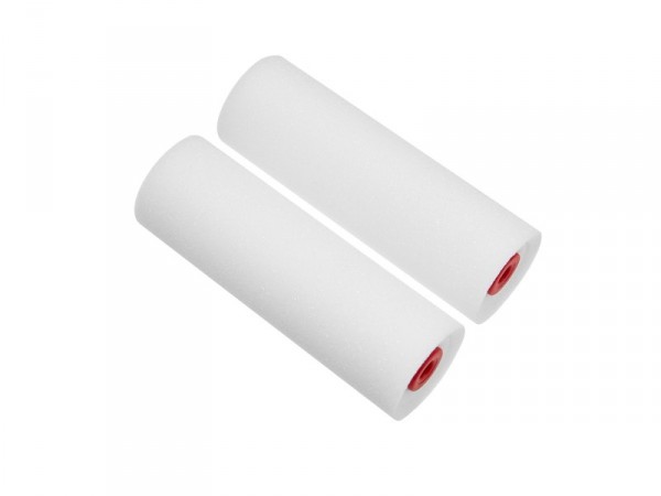 RECHARGE VERNIS/RESINE 110MM X2 DEXTER