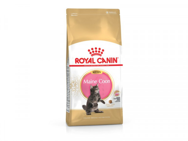 CROQUETTE CHAT ROYAL CANIN MAINE COON KITTEN 2KG