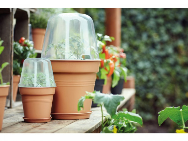 POT POLYPROPYLENE TERRE CUITE DIAMETRE 30