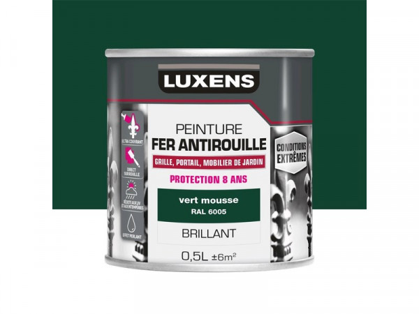 PEINTURE FER EXTERIEUR VERT MOUSSE BRILLANT 0,5L