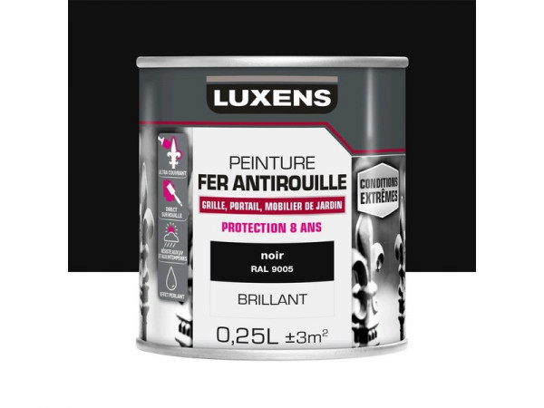 PEINTURE FER EXTERIEUR NOIR BRILLANT 0,25L