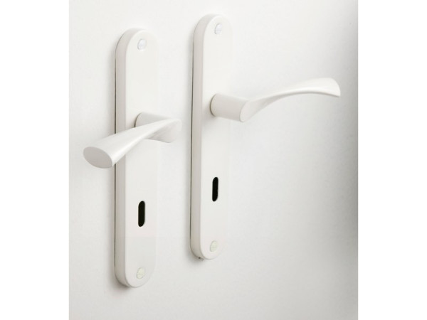 POIGNEE DE PORTE ANAIS TROU DE CLE ACIER ENTRAXE 195MM X2