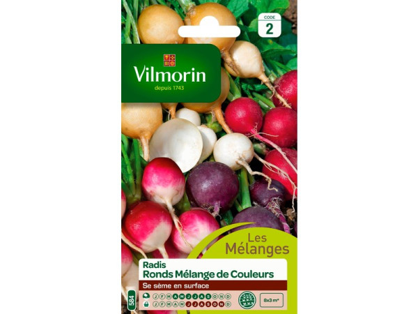 RADIS RONDS MELANGE DE COULEURS 2G