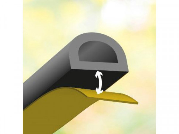 JOINT ISOLATION PORTE ET FENETRE 2 A 6 MM 6M NOIR AXTON