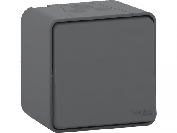 INTERRUPTEUR VV SAILLIE IP55 ETAN MUREVA STYL SCHNEIDER ELECTRIC GRIS