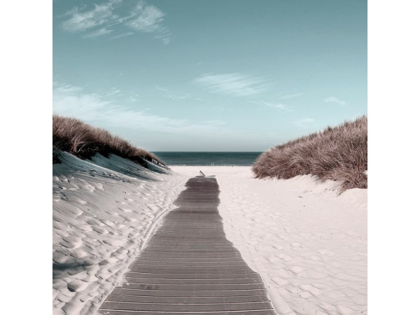 TOILE 30X30 CHEMIN SABLE