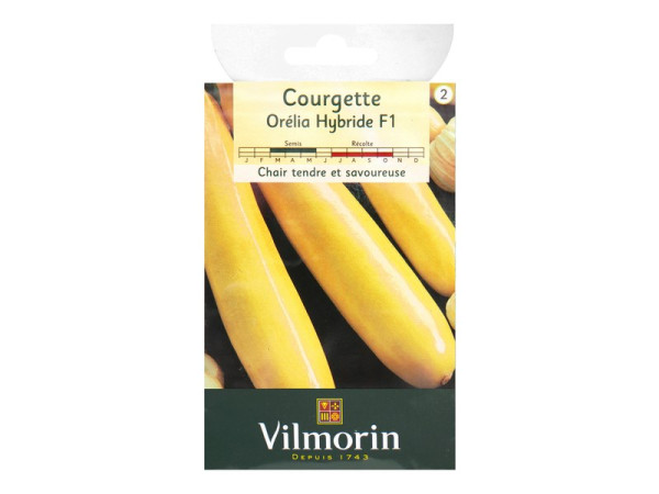 COURGETTE ORELIA HF1 PEAU JAUNE SACHET SERIE 2 VILMORIN